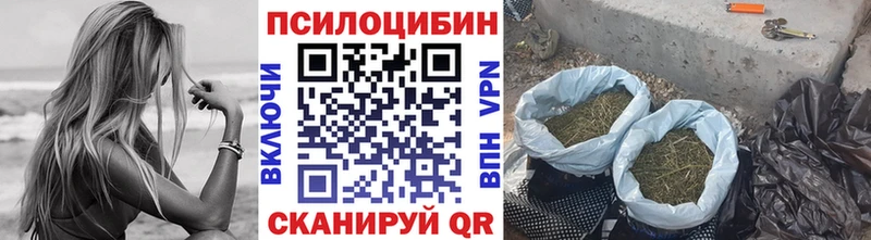 Псилоцибиновые грибы GOLDEN TEACHER Сорск